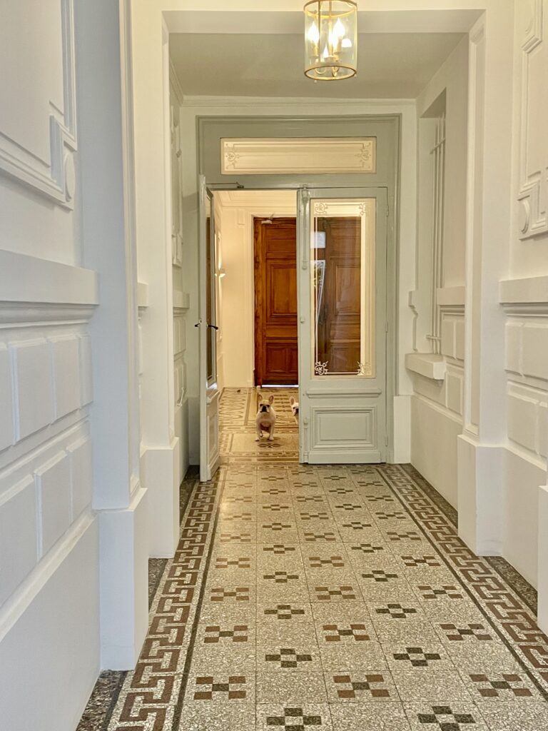 Two cute French Bulldogs in an entry corridor in Paris, France